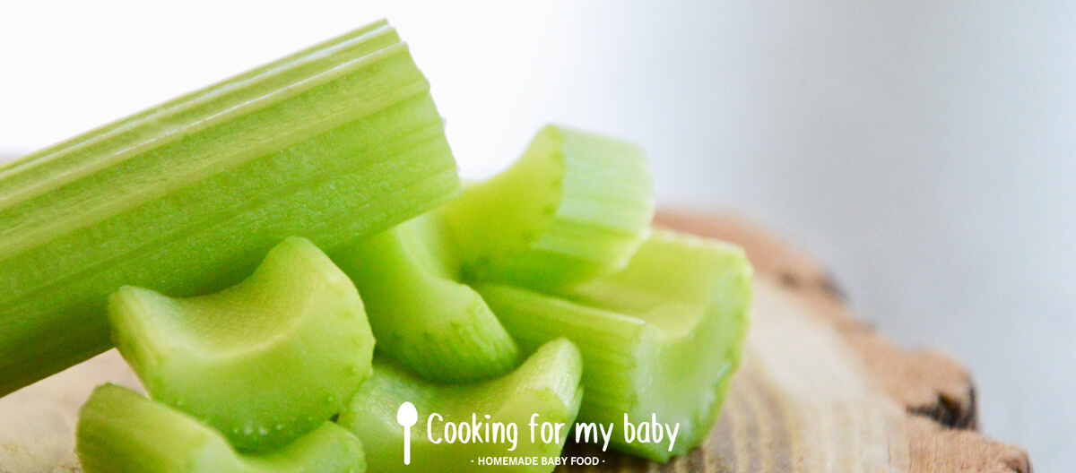 Celery stalk for babies